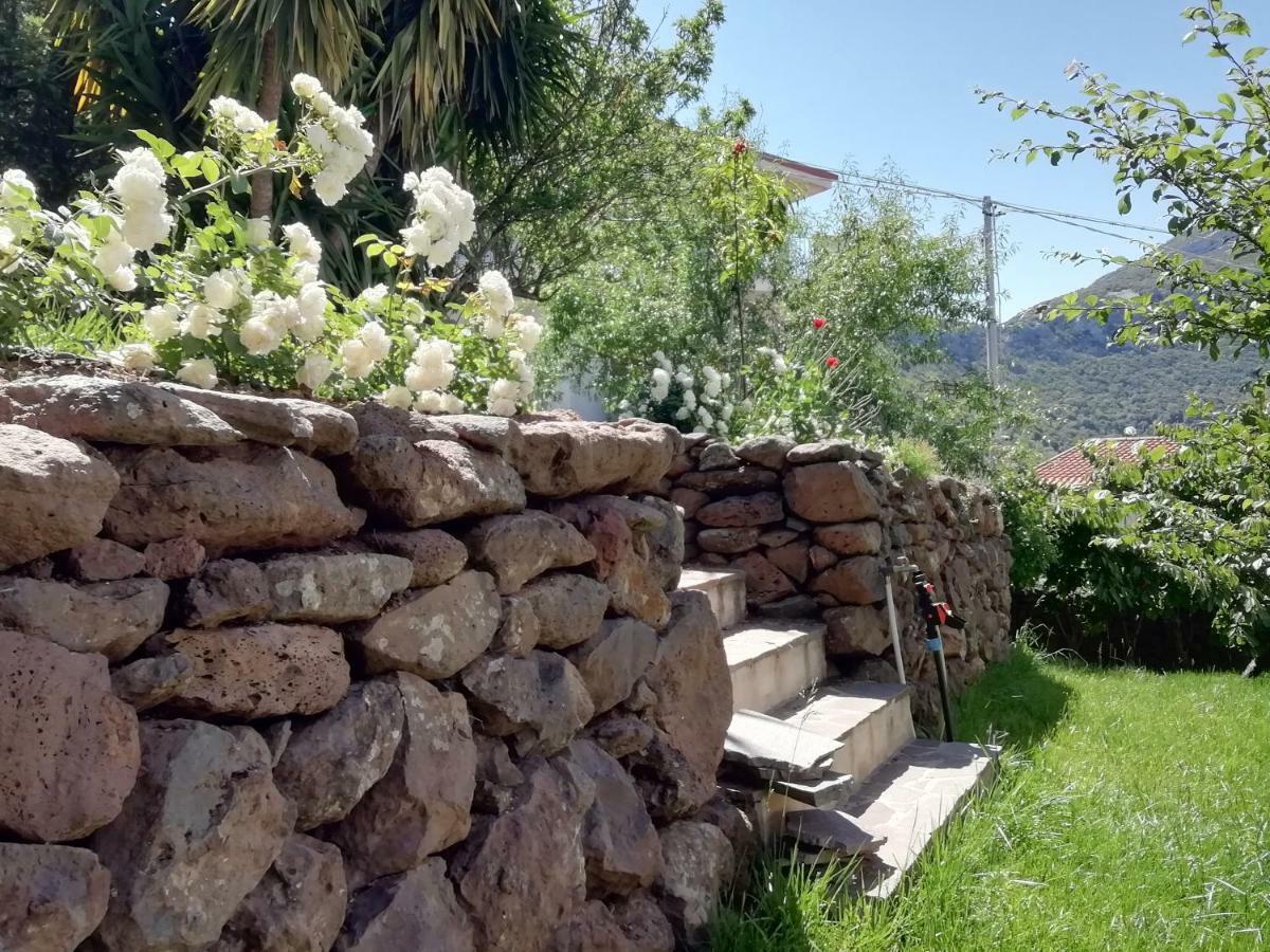 Casa Vacanze Villa Rosetta Dorgali Esterno foto