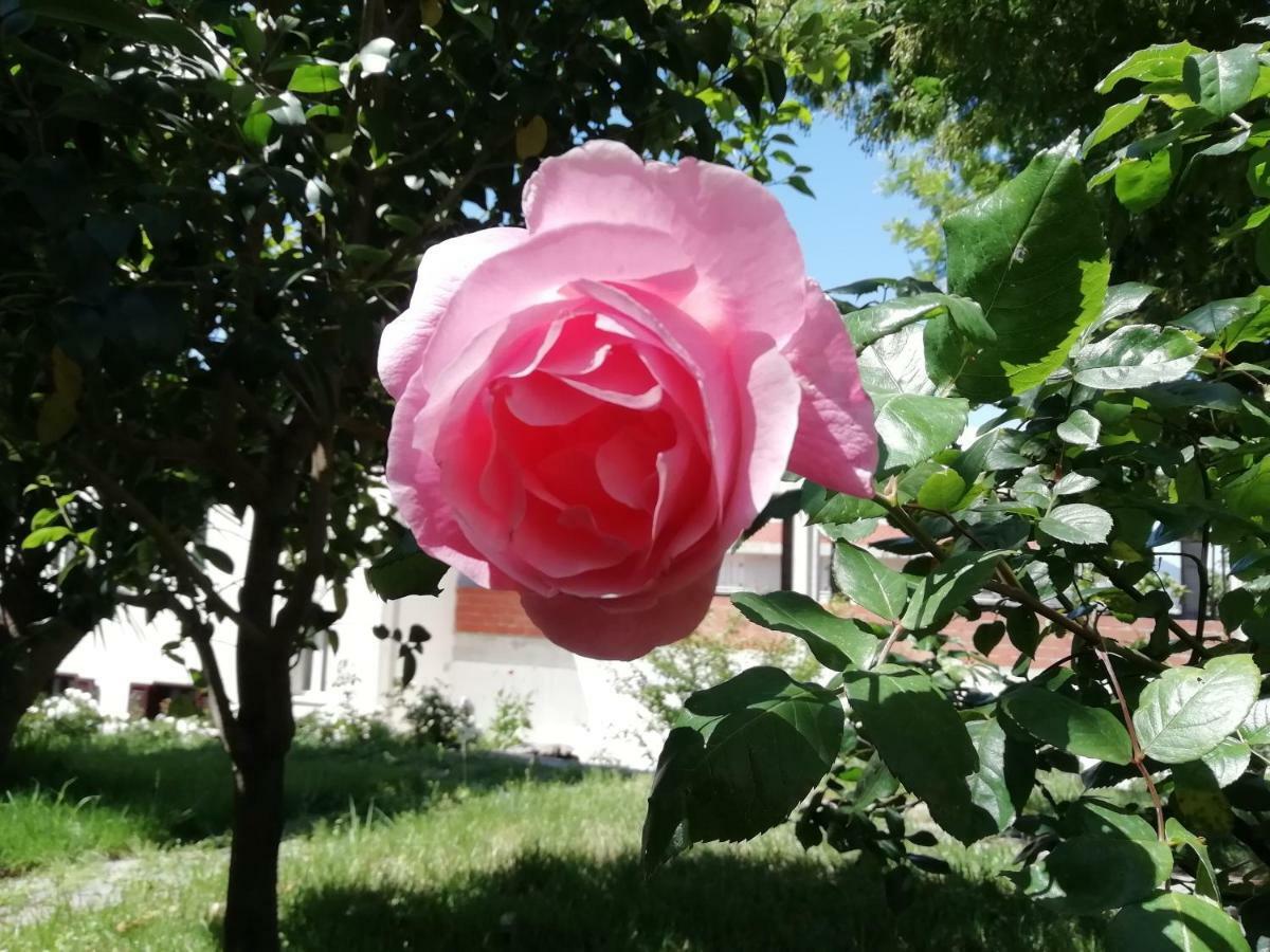 Casa Vacanze Villa Rosetta Dorgali Esterno foto